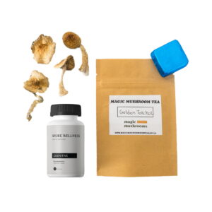 Erstes Timer Magic Mushroom Kit: Psychologie 101