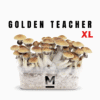Magic Mushroom Grow Kit Golden Teacher XL von Mondo®