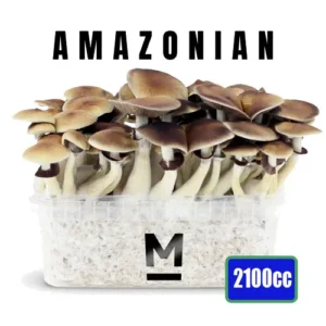 Magic Mushroom Grow Kit PES Amazonian XL von Mondo®